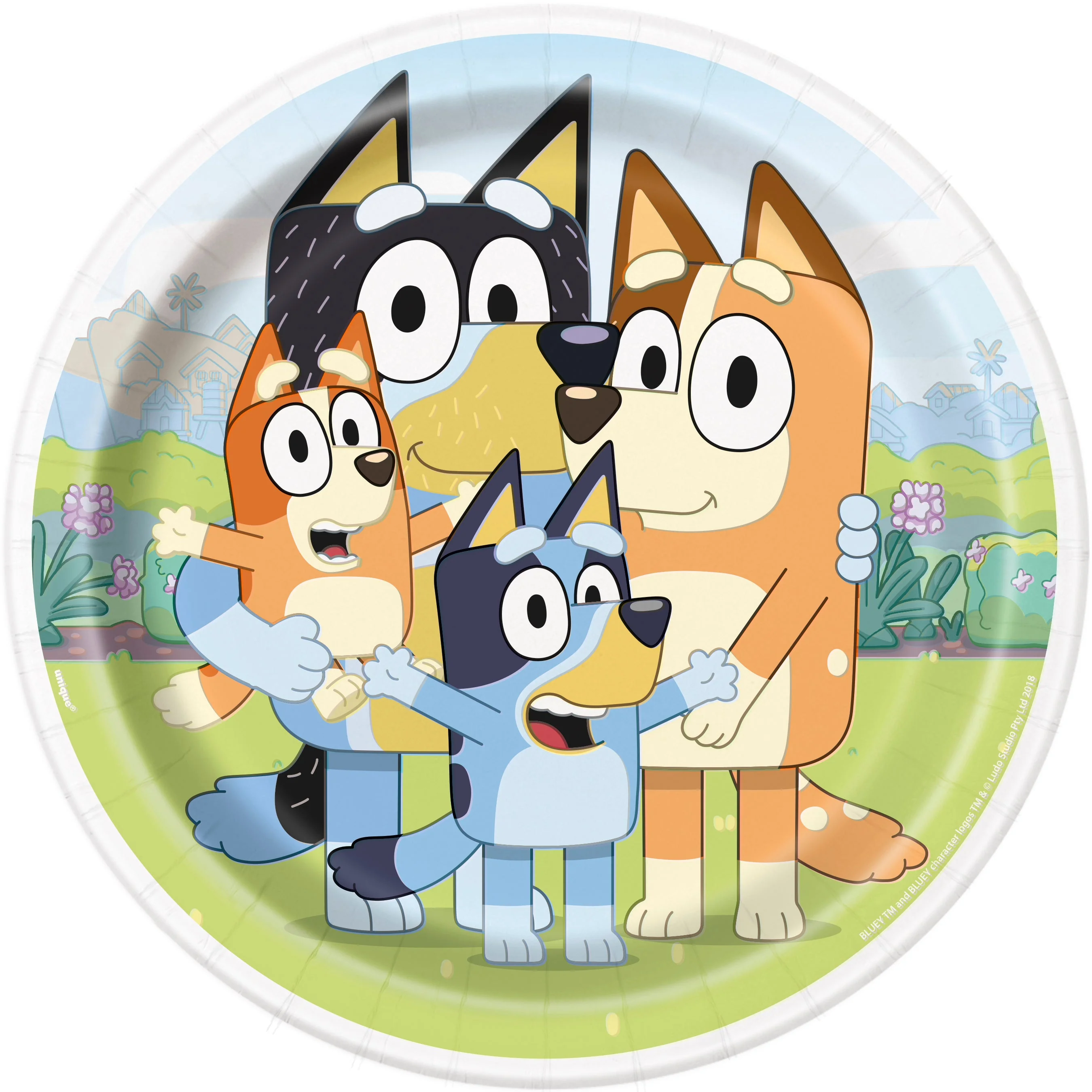Bluey Dinner Plates - Perfect for Affordable Birthday Party Fun!