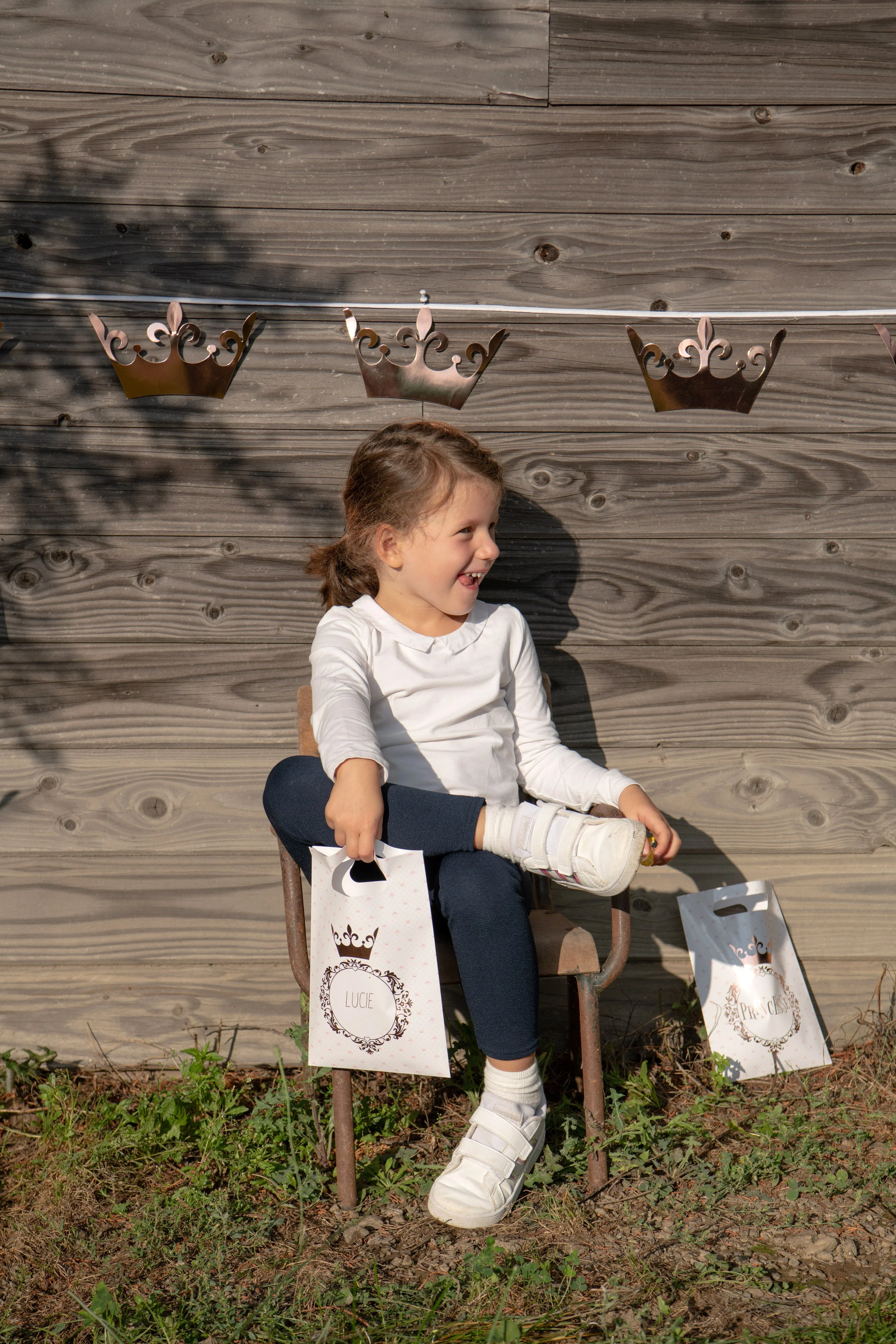 Elevate Your Party with Elegant Princess-Themed Pink Banner- Trendsetter in Decor