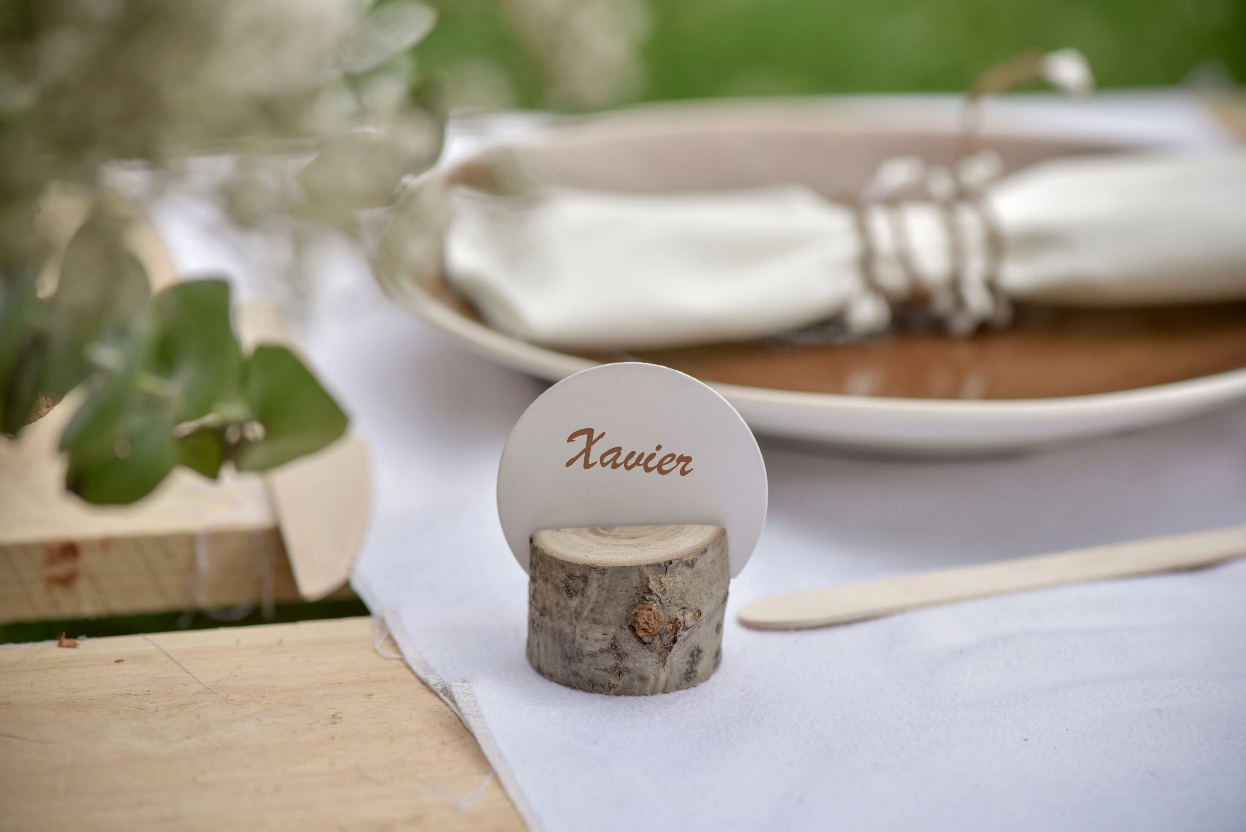 Premium Solid Theme Place Tags - Elevate Your Birthday Bash with Stylish Elegance