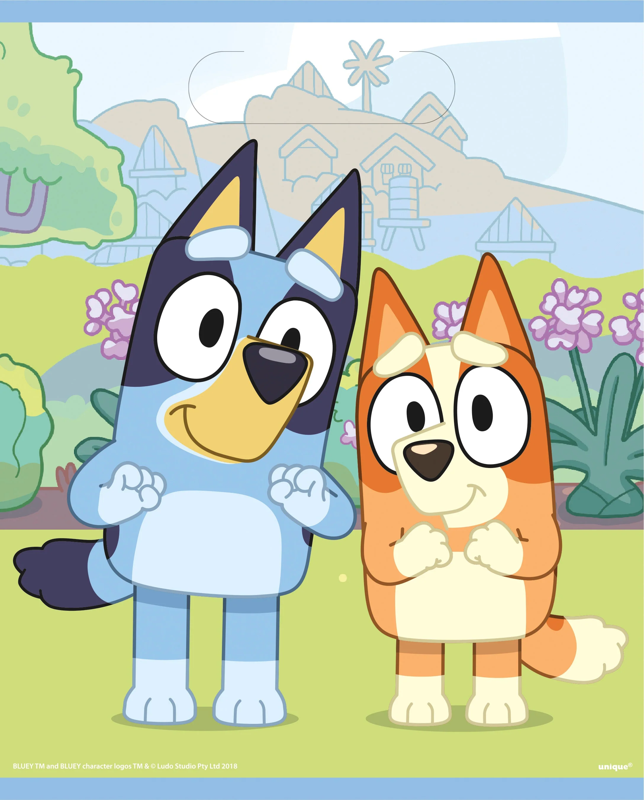 Bluey Loot Bags - Perfect Party Supplies for Memorable Birthdays!