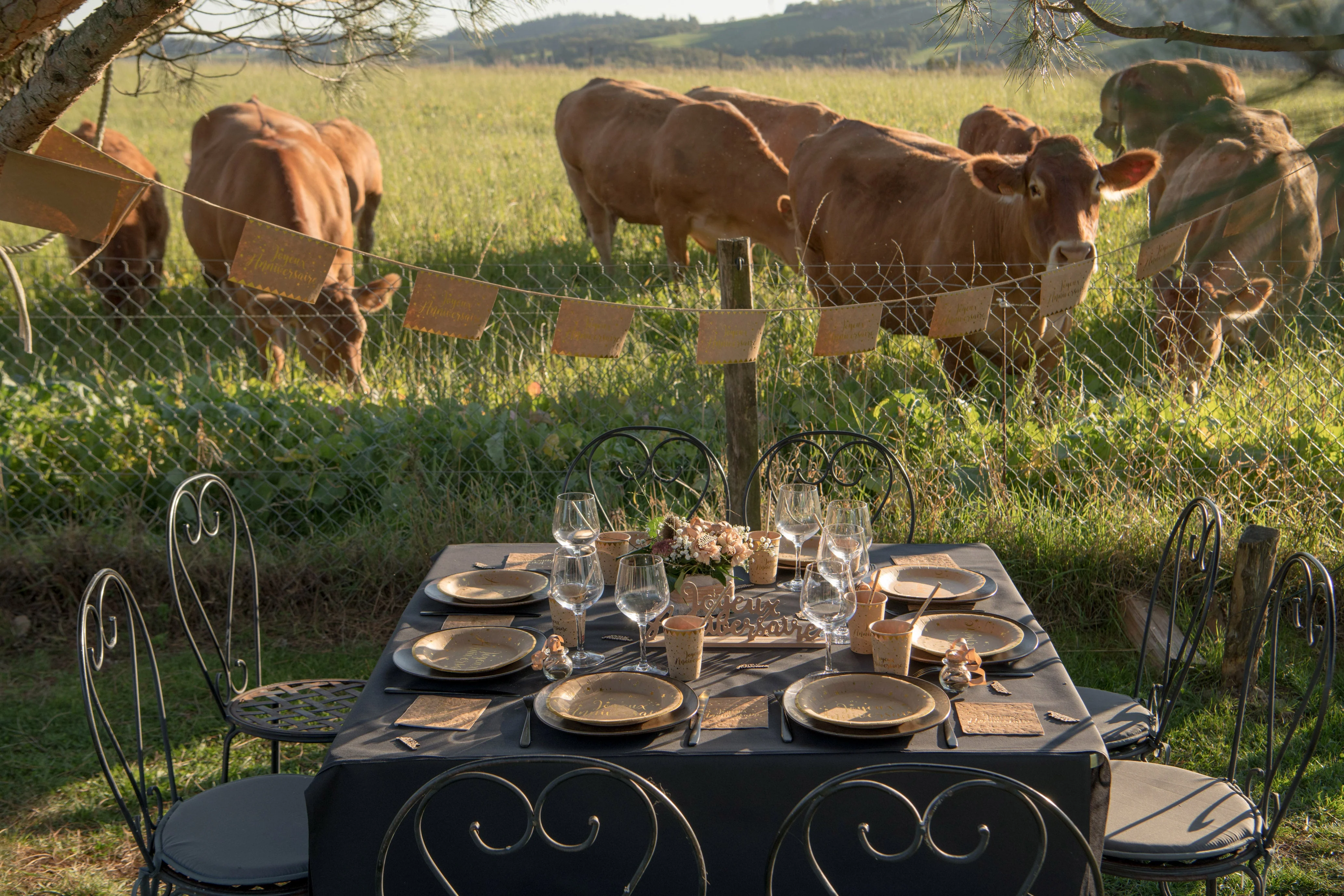 Elegant Birthday Bash - Kraft Metallic Banner for Trend-Setting Celebrations